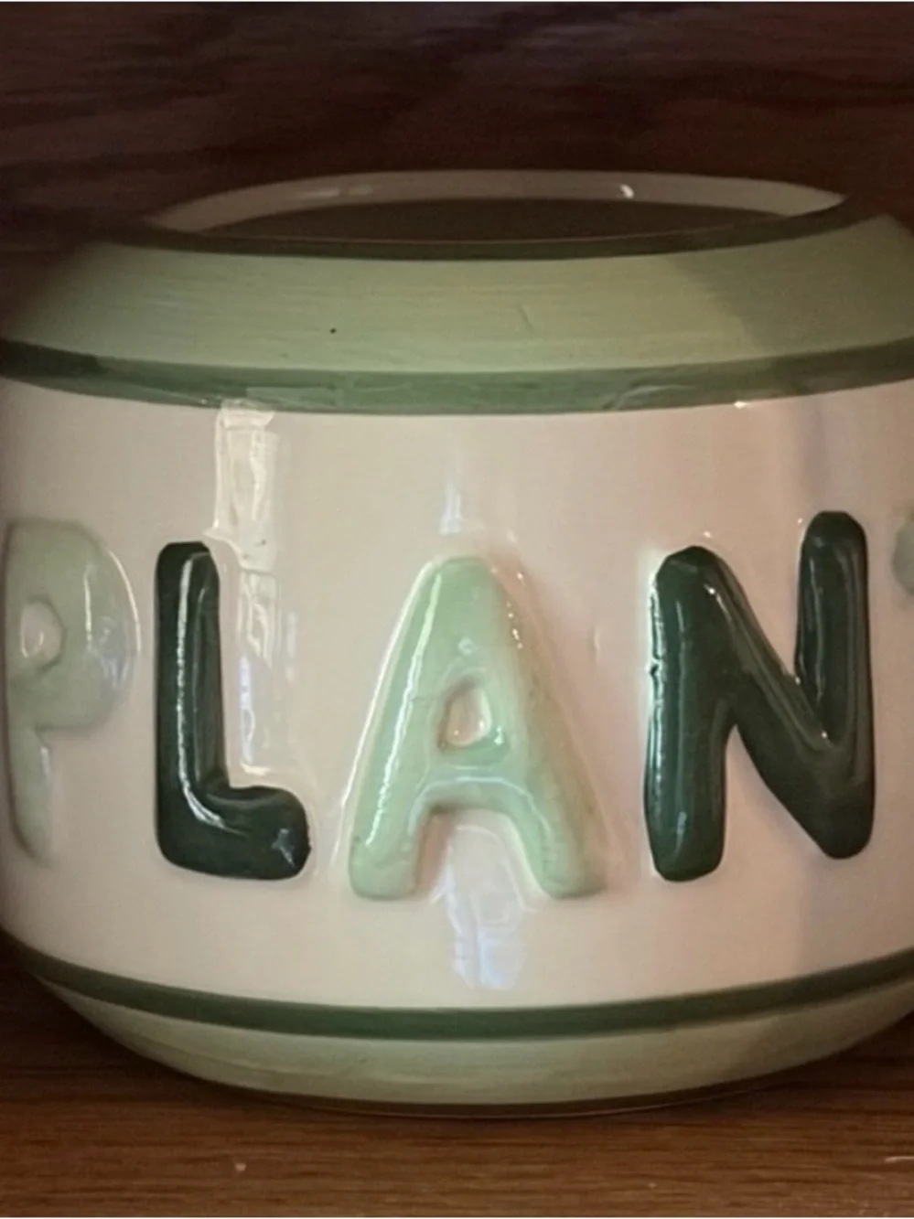Ceramic 'PLANT' Vase - Cream and Green Decorative Pot